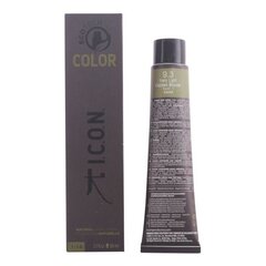 Noturīga Krāsa Ecotech Color Natural Color I.c.o.n. 9.3 very light golden blonde (60 ml) cena un informācija | Matu krāsas | 220.lv