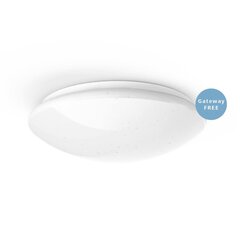 griestu gaismas Hama 00176545 LED IP20 Wi-Fi cena un informācija | Griestu lampas | 220.lv