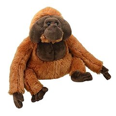 Wild Planet mīkstā rotaļlieta orangutāns 22 cm цена и информация | Мягкие игрушки | 220.lv