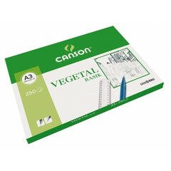 pauspapīrs Canson Basik 250 Loksnes 90 g/m² 29,7 x 42 cm cena un informācija | Burtnīcas un papīra preces | 220.lv