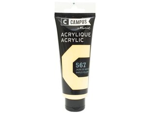 Akrila krāsa Campus 100ml 567 naples yellow cena un informācija | Modelēšanas un zīmēšanas piederumi | 220.lv