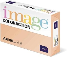 Krāsains papīrs IMAGE COLORACTION, A4, 80 gsm, 50 loksnes, SAVANA / PALE SALMON (1 iepakojums) cena un informācija | Kancelejas preces | 220.lv