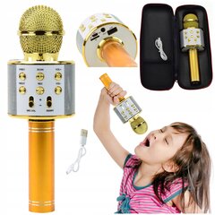 Bluetooth mikrofons Karaoke bezvadu цена и информация | Настольные игры, головоломки | 220.lv