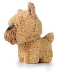 DAFFI Mas.Teddy Pets Griffon bruxell. T-016 00166 цена и информация | Мягкие игрушки | 220.lv