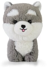 DAFFI Teddy Pets Husky talismans T-024 00241 cena un informācija | Mīkstās (plīša) rotaļlietas | 220.lv