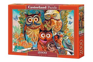 Castorland puzle Owls, 2000 detaļu cena un informācija | Puzles, 3D puzles | 220.lv