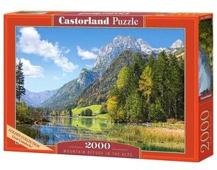 Puzle Kastorlendas Alpi, 2000 d. cena un informācija | Puzles, 3D puzles | 220.lv