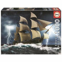 Puzle un domino komplekts Educa Perfect Storm 1000 gab cena un informācija | Puzles, 3D puzles | 220.lv