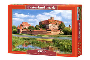 Puzle Puzzle Castorland, 3000 det. cena un informācija | Puzles, 3D puzles | 220.lv