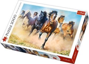 Puzle Trefl Horses, 2000 d. cena un informācija | Puzles, 3D puzles | 220.lv