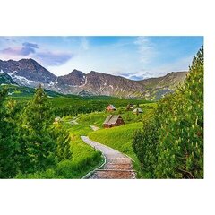 Castorland puzle TRAIL IN TATRAS, POLAND 500 det. cena un informācija | Puzles, 3D puzles | 220.lv