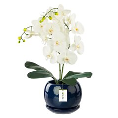 Ziedu pods Ziedu pods tumši zils Sfērisks puķu trauks ar apakštasīti Apaļš WxH 170 mm x 160 mm Virsma Gloss Keramika Modern Glamour cena un informācija | Puķu podi | 220.lv