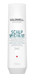 Шампунь от перхоти Goldwell Dualsenses Scalp Specialist, 250 мл цена и информация | Шампуни | 220.lv