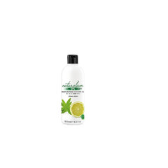 Dušas želeja Naturalium Herbal Lemon, 500 ml cena un informācija | Dušas želejas, eļļas | 220.lv