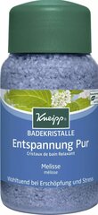 Kneipp Mineral Bath Salt Pure Relaxation соль для ванны 500 г цена и информация | Масла, гели для душа | 220.lv