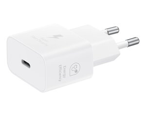 EP-T2510EWE + EP-DN980BWE Samsung USB-C 25W Travel Charger + USB-C Data Cable White (OOB Bulk) цена и информация | Зарядные устройства для телефонов | 220.lv