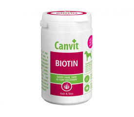 Canvit Biotin N100 piedevas suņu kažokādas un ādas kopšanai, 100 g cena un informācija | Vitamīni, uztura bagātinātāji, pretparazītu līdzekļi suņiem | 220.lv