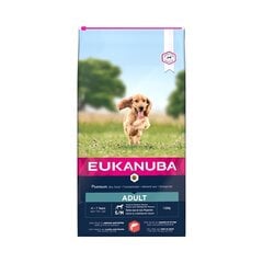 Eukanuba Dog Salmon Barley S/M Breed ar lasi un miežiem, 2.5 kg cena un informācija | Sausā barība suņiem | 220.lv