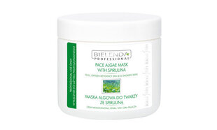 Bielenda Professional Face Algae Mask With Spirulina sejas maska 190 g cena un informācija | Sejas maskas, acu maskas | 220.lv