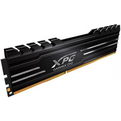 Adata XPG Gammix D10 cena un informācija | Operatīvā atmiņa (RAM) | 220.lv