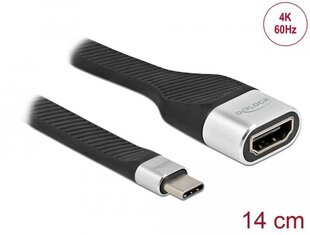 Delock FPC Flat cena un informācija | Adapteri un USB centrmezgli | 220.lv