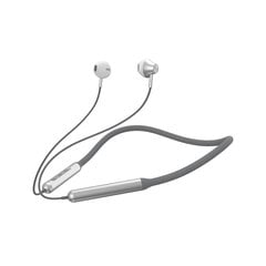 Devia Bluetooth earphones Smart 702-V2 gray-silver цена и информация | Наушники | 220.lv