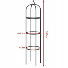 Металлическая садовая арка Wideshop цена и информация | Декоры для сада | 220.lv