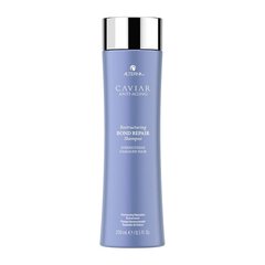 Atjaunojošs šampūns - Alterna Caviar Restructuring Bond Repair, 250 ml cena un informācija | Šampūni | 220.lv