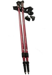 Палки для скандинавской ходьбы Nordic Walking Nils Extreme NW802 цена и информация | Палки для ходьбы | 220.lv