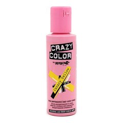 Vidēji Noturīga Krāsa Canary Yellow Crazy Color Nº 49 (100 ml) cena un informācija | Matu krāsas | 220.lv