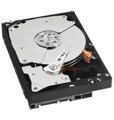 Внутренний жесткий диск Western Digital WD5003AZEX Black HDD 500GB 2.5" 7200RPM SATA3 64MB цена и информация | Внутренние жёсткие диски (HDD, SSD, Hybrid) | 220.lv