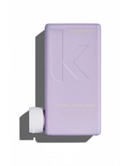 Шампунь для светлых волос Kevin Murphy Blond Angel Wash 250 мл цена и информация | Шампуни | 220.lv