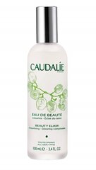 Sejas sprejs - eliksīrs Caudalie Beuty Elixir 100 ml cena un informācija | Sejas ādas kopšana | 220.lv