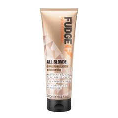 Šampūns gaišiem matiem Fudge All Blonde Color Boost Shampoo, 250 ml cena un informācija | Šampūni | 220.lv