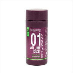 Līdzeklis Apjomam Volume Dust Salerm (10 g) cena un informācija | Matu veidošanas līdzekļi | 220.lv