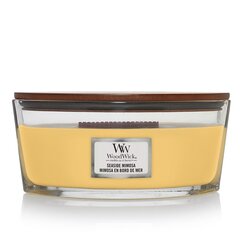 WoodWick aromātiska svece Seaside Mimosa, 453,6 g cena un informācija | Sveces un svečturi | 220.lv