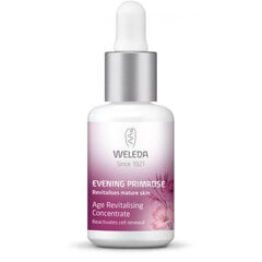 Sejas serums nobriedušai ādai Weleda Evening Primrose, 30 ml cena un informācija | Serumi sejai, eļļas | 220.lv