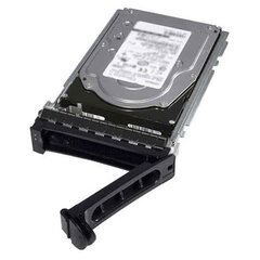 HDD внутренний жесткий диск Dell 400-AUPW цена и информация | Внутренние жёсткие диски (HDD, SSD, Hybrid) | 220.lv