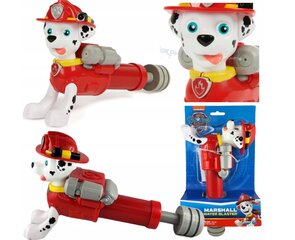 Paw Patrol Swimways ūdens pistole cena un informācija | Ūdens, smilšu un pludmales rotaļlietas | 220.lv