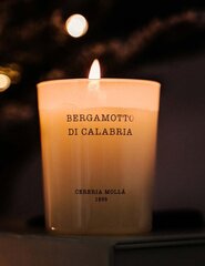 Cereria Mollá Aromātiskā krēmsvece Bergamotto di Calabria (Svece) 230 g cena un informācija | Sveces un svečturi | 220.lv