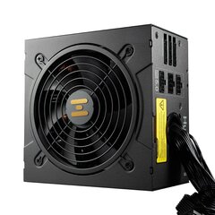 FSP Hydro GT PRO (HGT-1000W) цена и информация | Блоки питания (PSU) | 220.lv