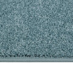 paklājs, 80x150 cm, zils цена и информация | Ковры | 220.lv