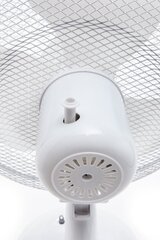 Galda ventilators Adler AD 7304 cena un informācija | Ventilatori | 220.lv