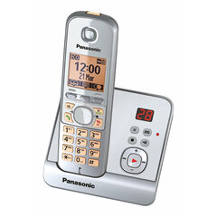 Panasonic KX-TG6721GS cena un informācija | Stacionārie telefoni | 220.lv