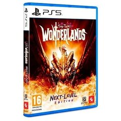 Videospēle PlayStation 5 2K GAMES Tiny Tina's Wonderlands cena un informācija | Datorspēles | 220.lv