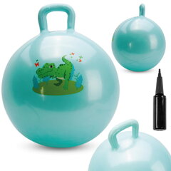 Мяч-попрыгунчик для детей с насосом Sun Baby цена и информация | Игрушки для песка, воды, пляжа | 220.lv