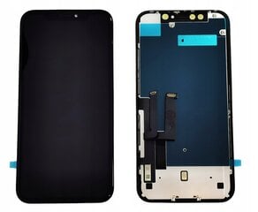 LCD ekrāns priekš Apple iPhone XR cena un informācija | Telefonu rezerves daļas un instrumenti to remontam | 220.lv