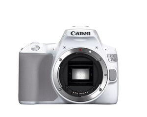 Canon EOS 250D korpuss (balts) cena un informācija | Digitālās fotokameras | 220.lv