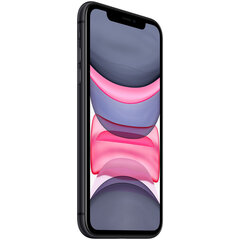 Apple iPhone 11 256GB (Klase A (Ļoti labs stāvoklis, lietots)) cena un informācija | Mobilie telefoni | 220.lv