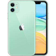 Apple iPhone 11 64GB (Klase A (Ļoti labs stāvoklis, lietots)) cena un informācija | Mobilie telefoni | 220.lv